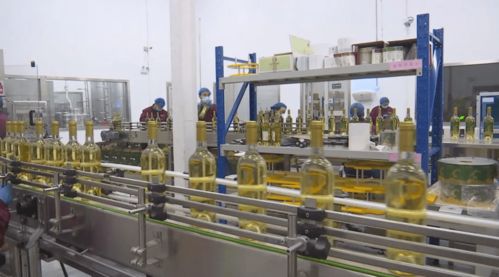 新年開(kāi)門(mén)紅 訂單飽滿(mǎn)驅(qū)動(dòng)生產(chǎn)提速，技術(shù)轉(zhuǎn)讓賦能企業(yè)轉(zhuǎn)型升級(jí)